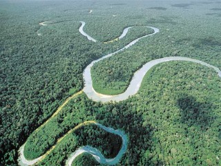 Deforestación de selva Amazonas, la más baja en 23 años fifu