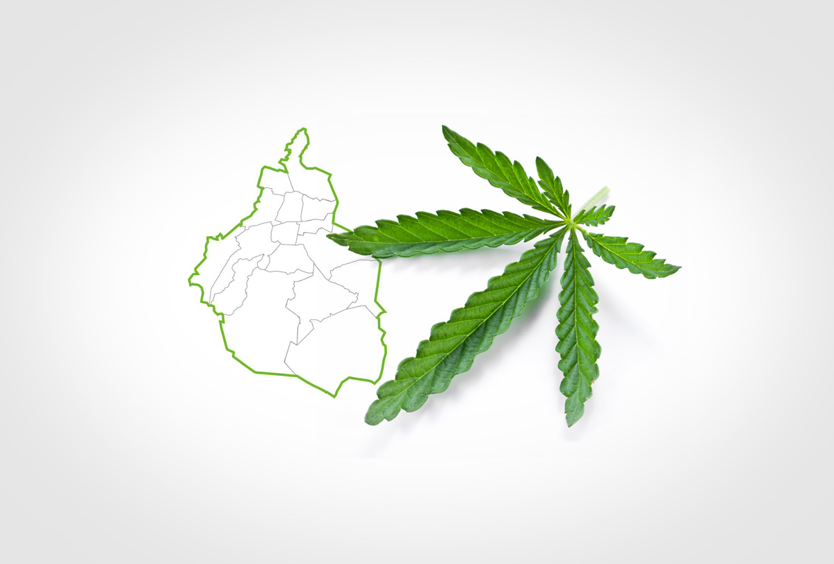 GDF presentará iniciativa para regular consumo de marihuana fifu
