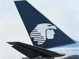 Aeroméxico, bandera del país: Treviño fifu