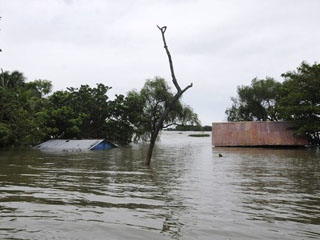 Declaran zona de desastre en Tamaulipas fifu