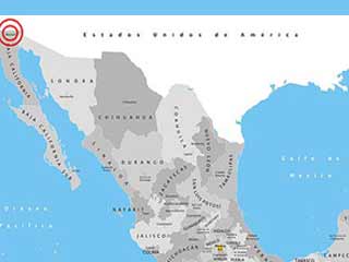 Fuerte sismo remece a México