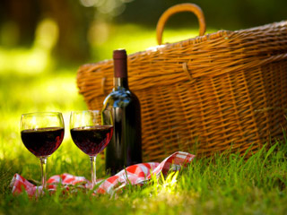 Los mejores vinos para picnic fifu