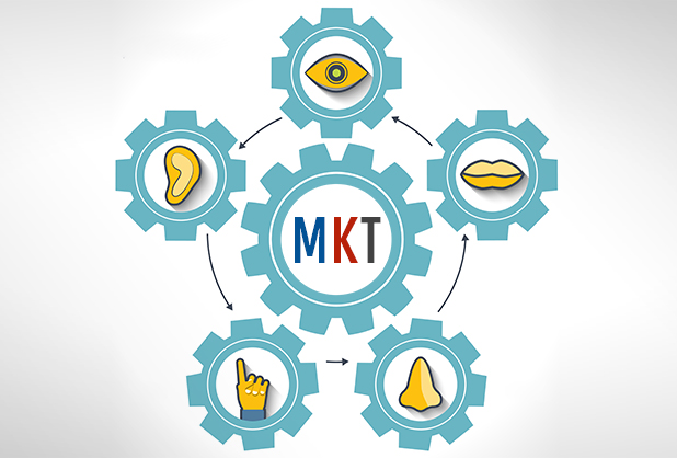 MKT multisensorial, clave para una marca ‘pregnante’ fifu