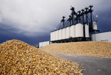 México importó varias toneladas de maíz de EU