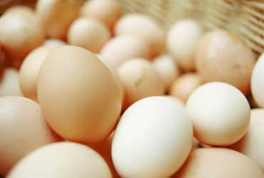 Gripe aviar provoca alza en precio de huevo