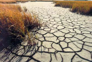 México invierte 16 mil mdp para paliar la sequía