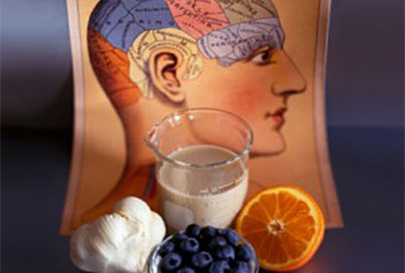 8 nutrimentos para alimentar tu cerebro fifu