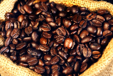 Alimentos que ocultan la cafeína fifu