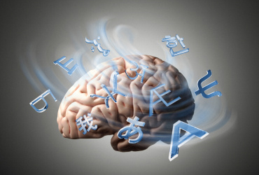 Reta a tu cerebro: Aprender un idioma lo hace crecer fifu