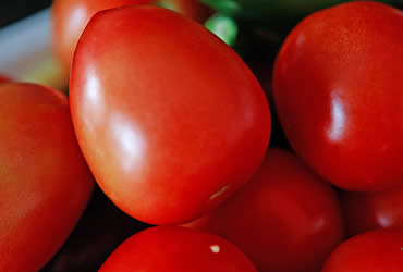 El riesgo del tomate: la concentración