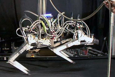 El robot más veloz del mundo corre a 30 kilómetros por hora fifu