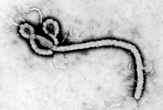 México toma precauciones por Ébola en EU