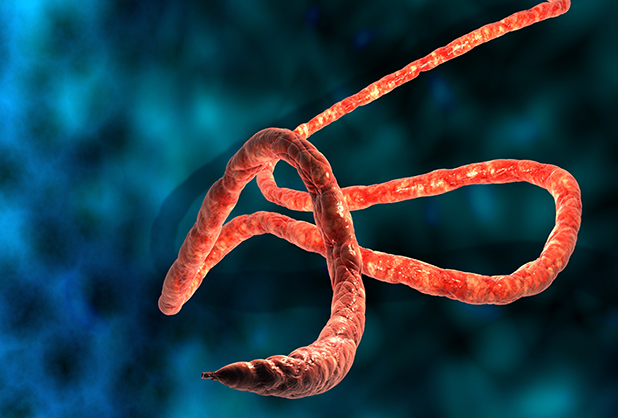 EU teme por otro caso de Ébola nuevamente en Texas