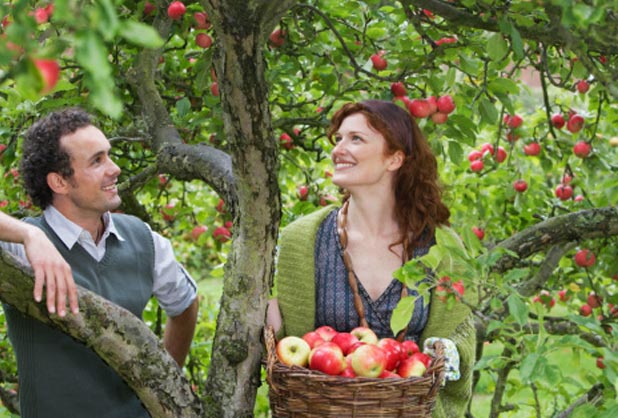 Las manzanas salvan vidas, ¿mito o realidad? fifu