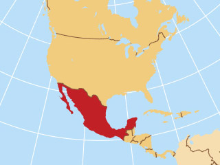 México crece menos, ¿qué podemos esperar? fifu