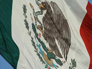 México: expectativas económicas 2011 fifu