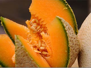 Melones resisten 60 días fifu