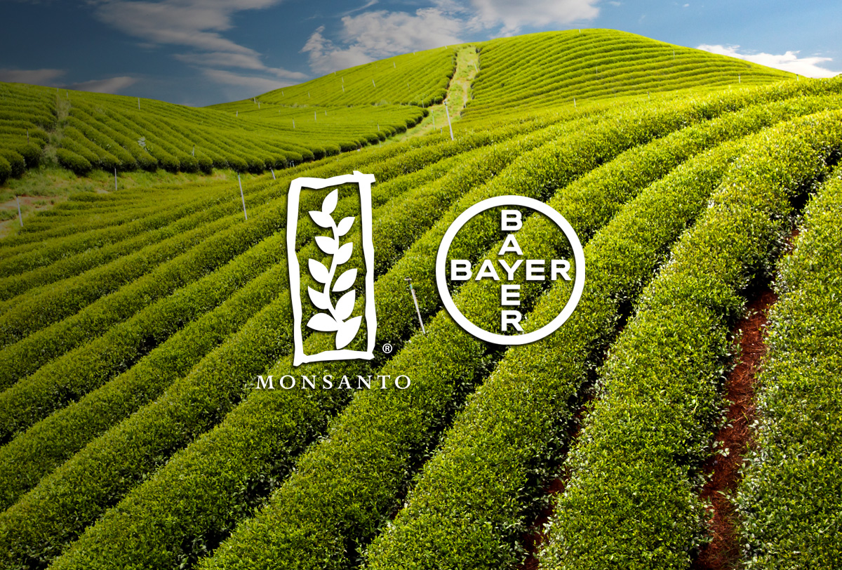 5 cosas que tienes que saber sobre la fusión de Bayer con Monsanto fifu