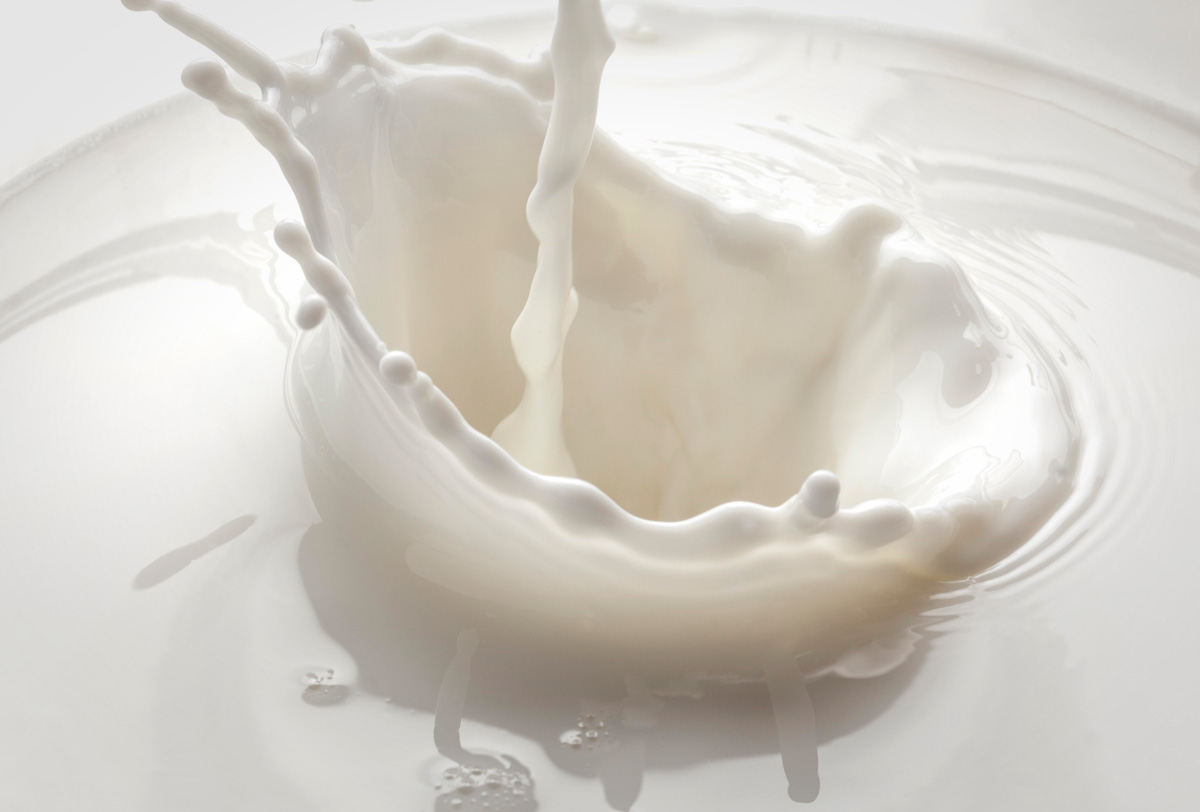 10 datos sobre el consumo y producción de leche en México fifu