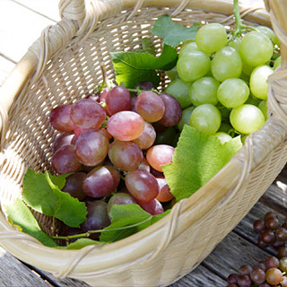 El secreto del vino está en los tipos de uva fifu