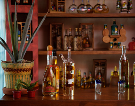 Tequila, agave y arte fifu