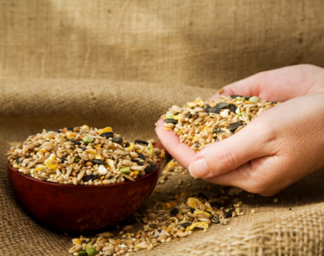 El poder nutricional de las semillas fifu