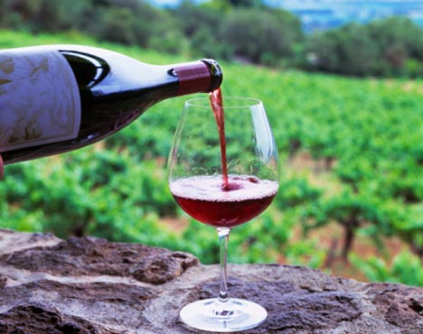 Redescubre el vino en Uruguay fifu