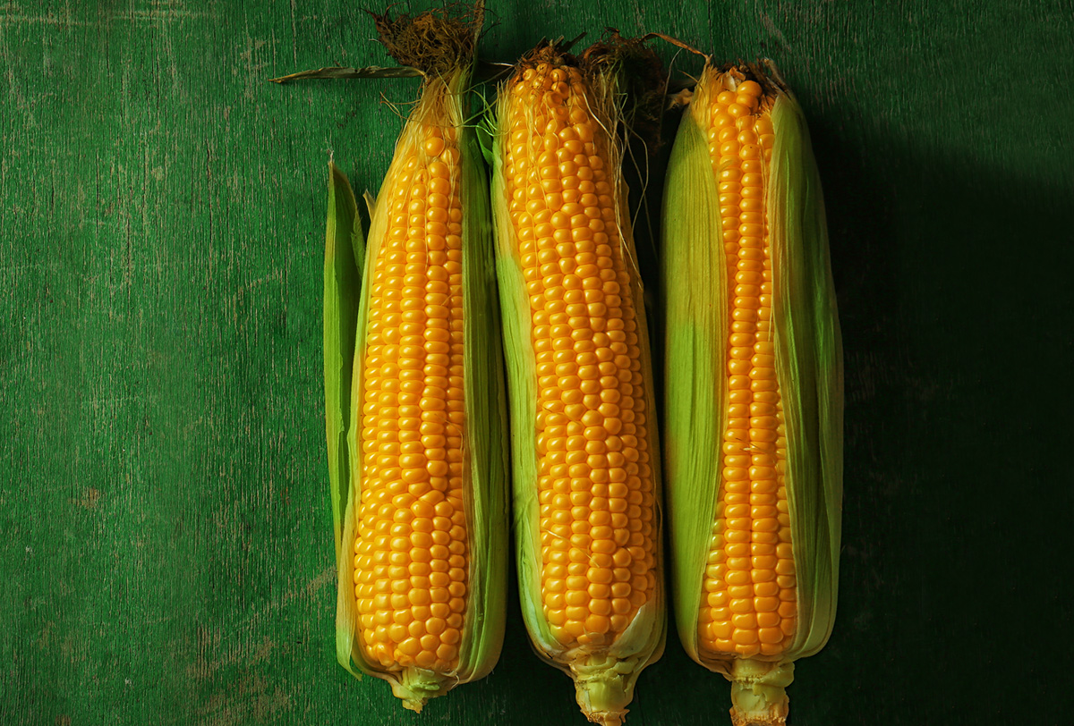 Por qué México no puede solo con su producción de maíz