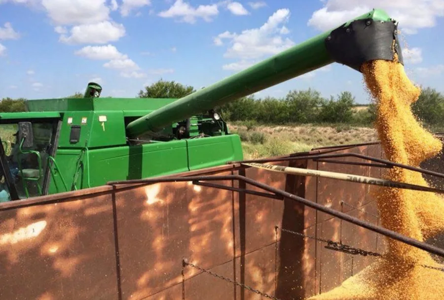 Ellos quieren revivir el boom de las palomitas de maíz mexicanas