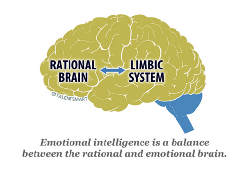 inteligencia emocional, cerebro