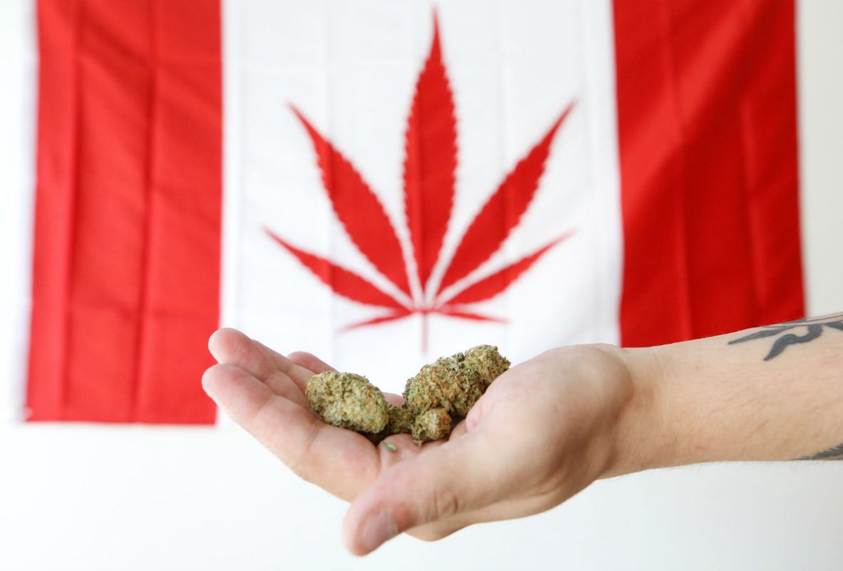marihuana canadá