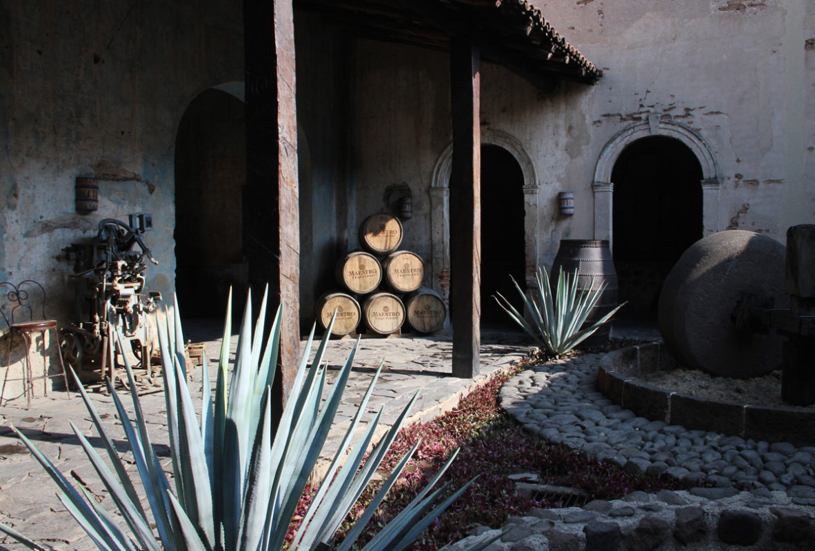 Tequila, la ciudad de Jalisco con un ‘shot’ de innovación