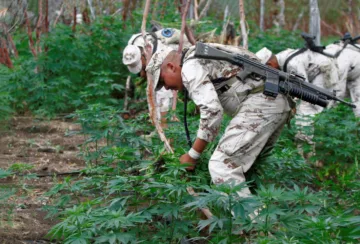 ¿Se acabó la guerra contra el narcotráfico en México?