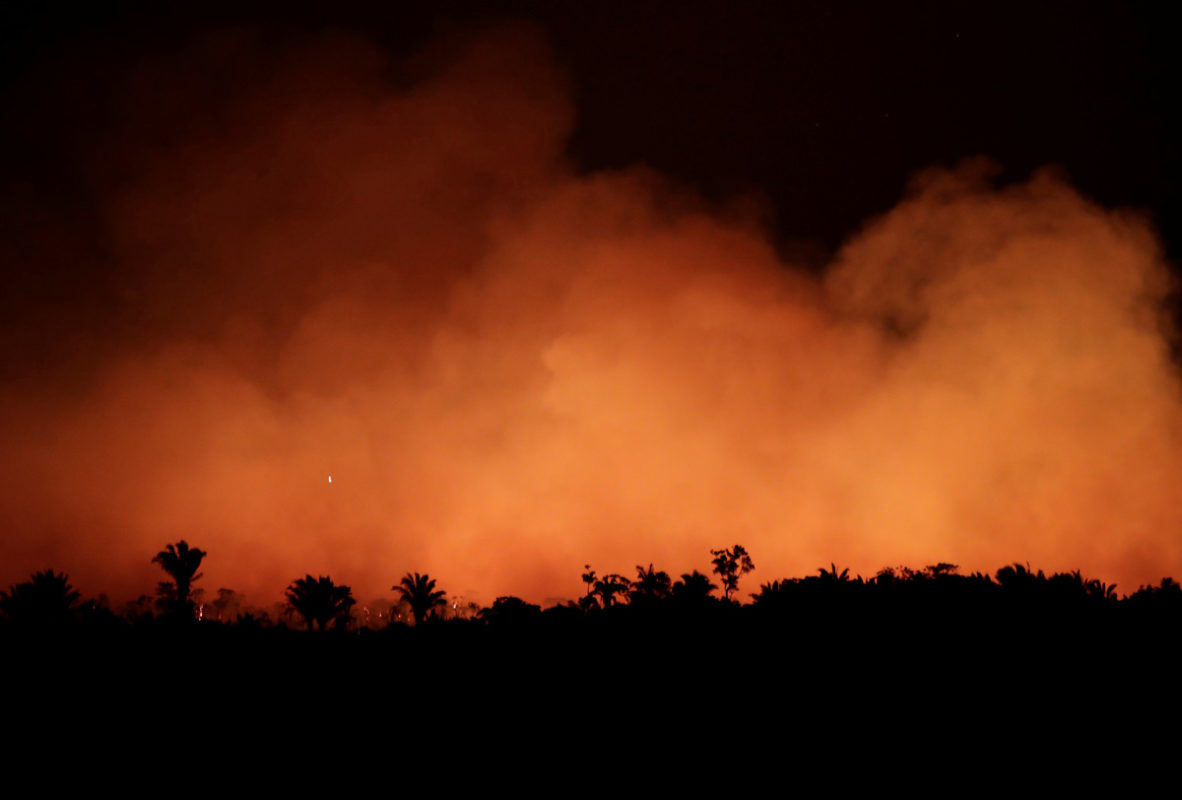 Amazonia: el pulmón del mundo se ahoga en los incendios