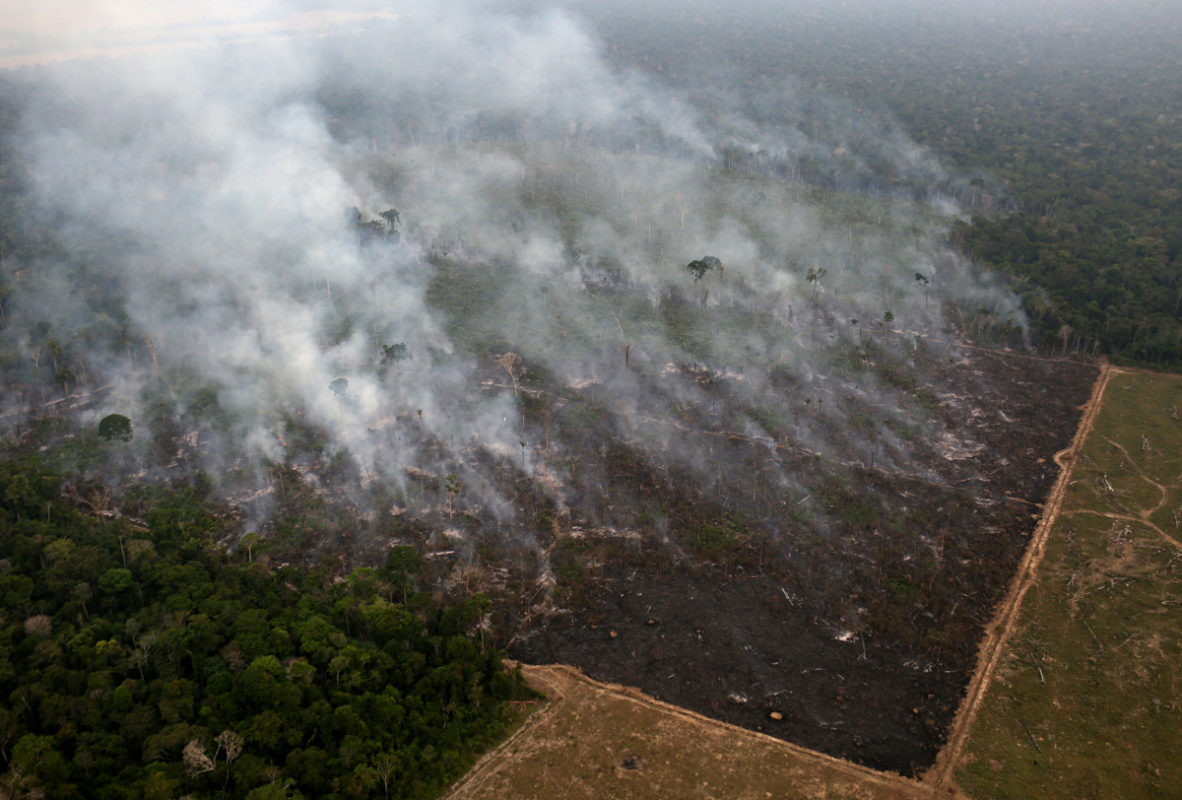 Inversionistas piden actuar frente a los efectos por incendios en Amazonia