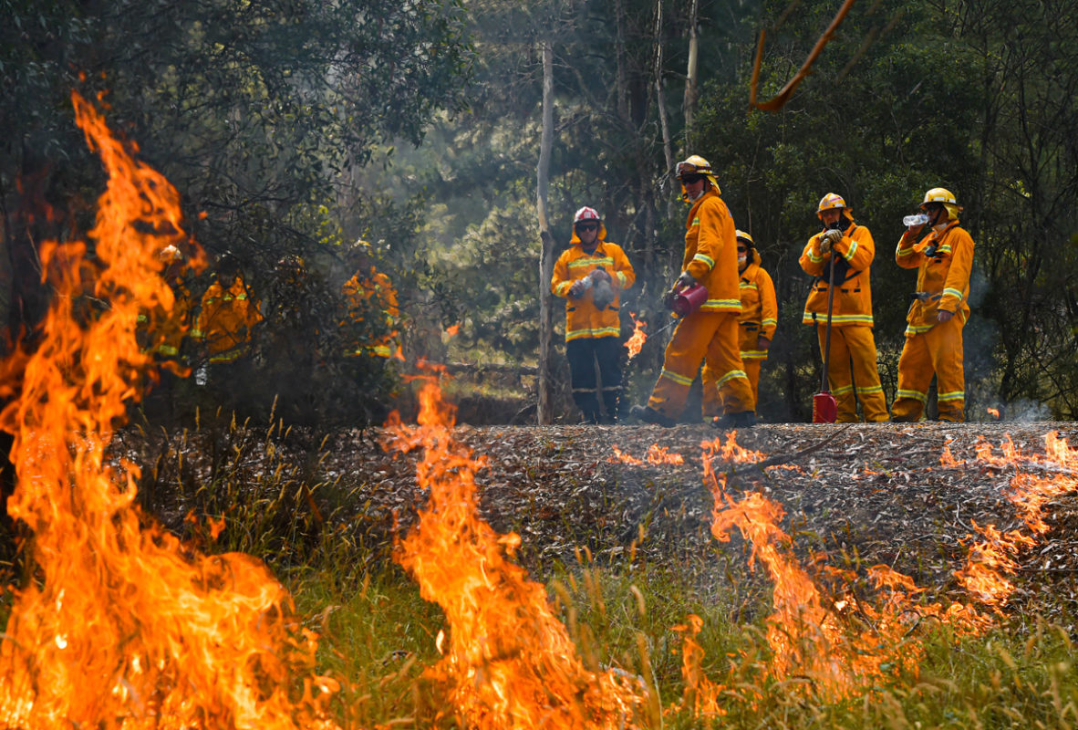 ¿Qué pasa con los incendios en Australia y cómo ayudar?