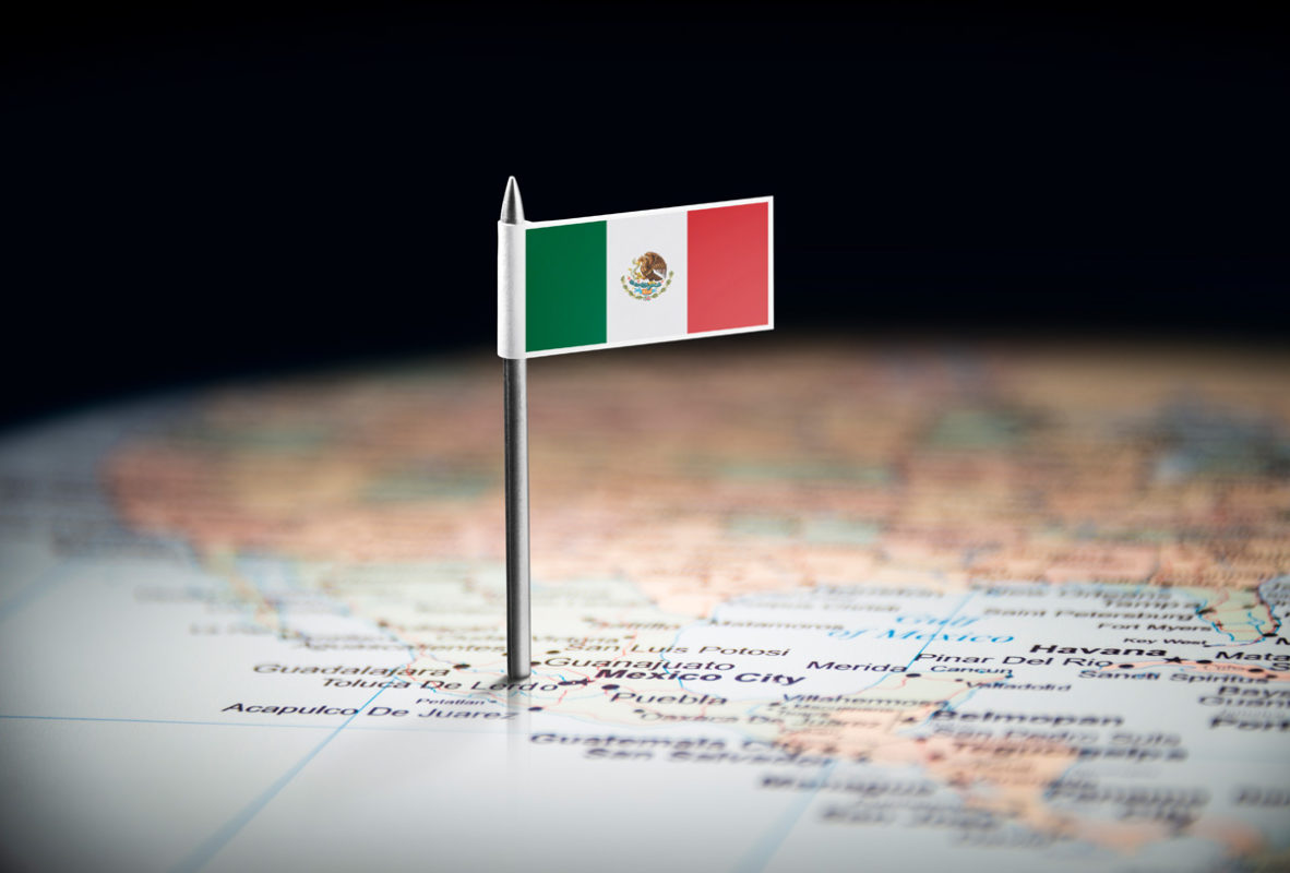 Liderazgo del sector privado para un futuro sustentable en México