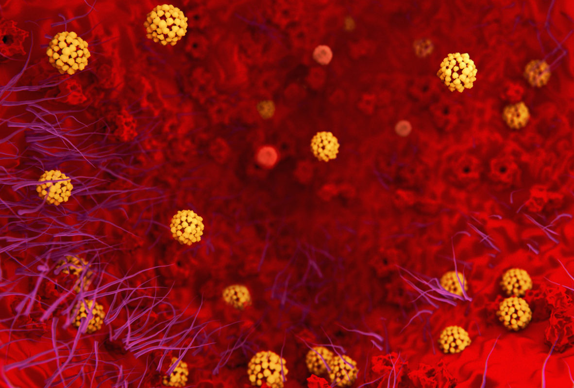 Esto es lo que sabemos (y desconocemos) del nuevo coronavirus