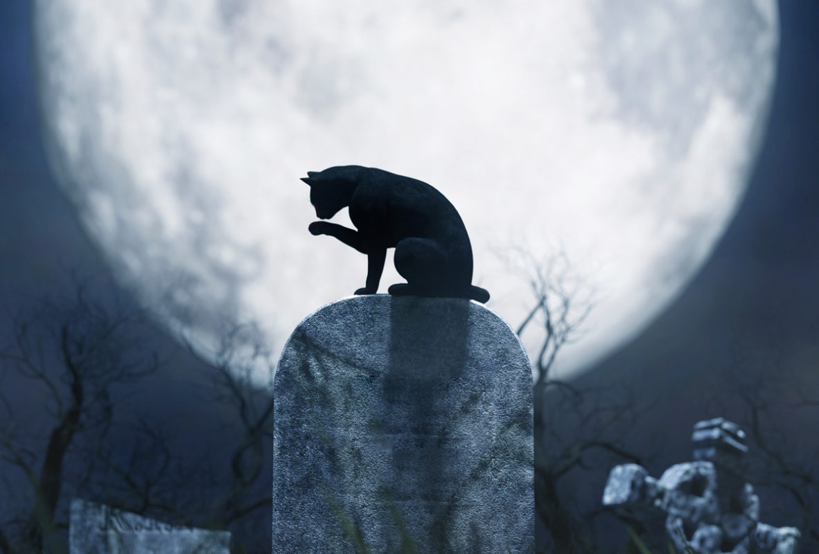 ¿Qué es el ‘síndrome del ‘gato negro en los negocios y cómo ahuyentarlo?