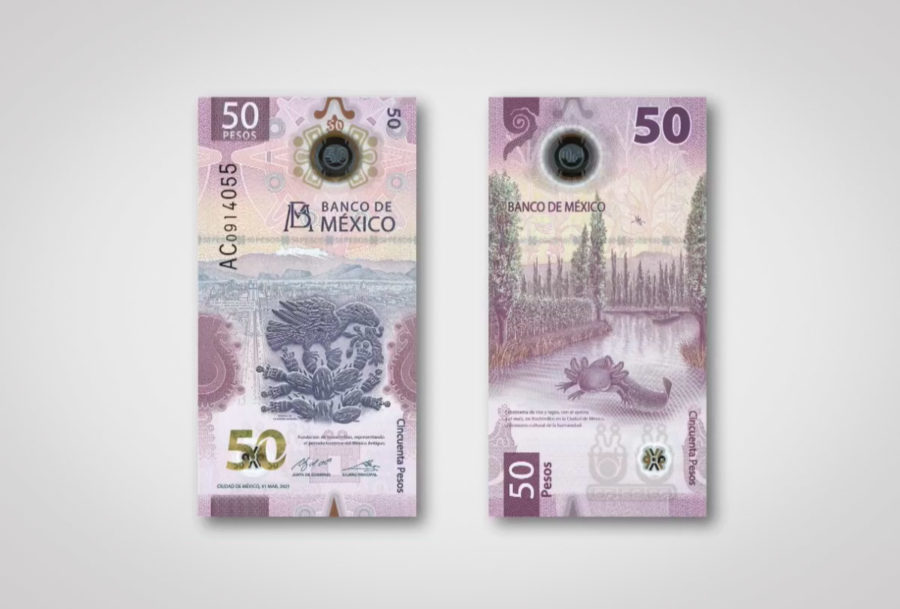 Ajolote: nuevo billete de 50 pesos