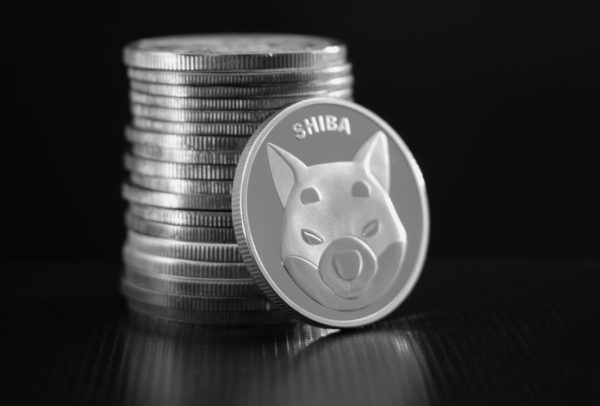Shiba Inu: ¿Por qué la criptomoneda se desplomó 14% en un día?