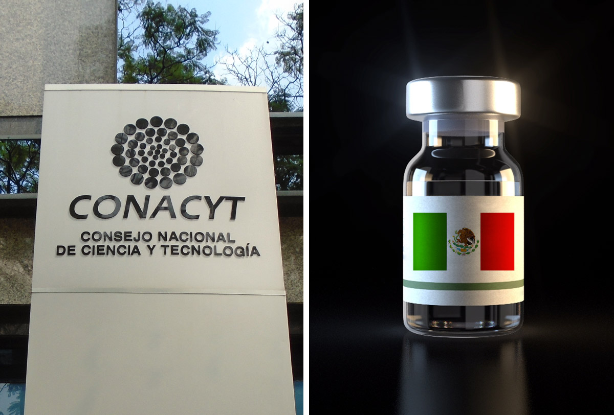 Conacyt busca voluntarios para probar 'Patria', la vacuna mexicana contra  Covid-19