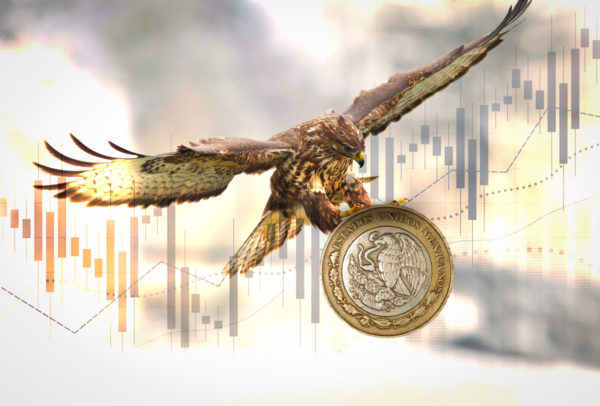 Lucha entre ‘halcones’ y ‘palomas’ en la Fed y en Banxico