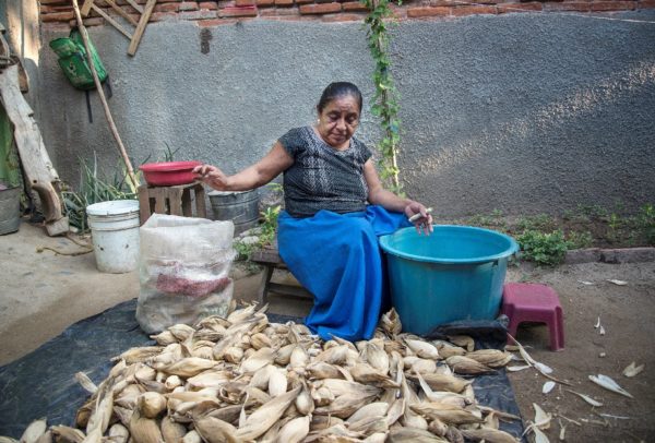 Día Internacional de la mujer, campesinas mexicanas aportan 50% de producción de alimentos
