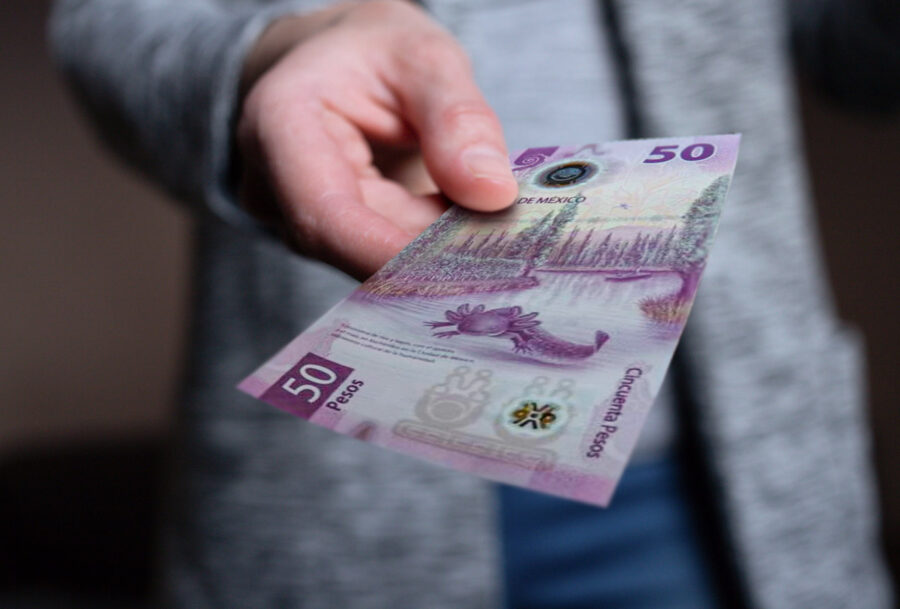 ¿No quieres cambiar tu billete del ajolote? Pagan hasta 800,000 pesos por el de 50