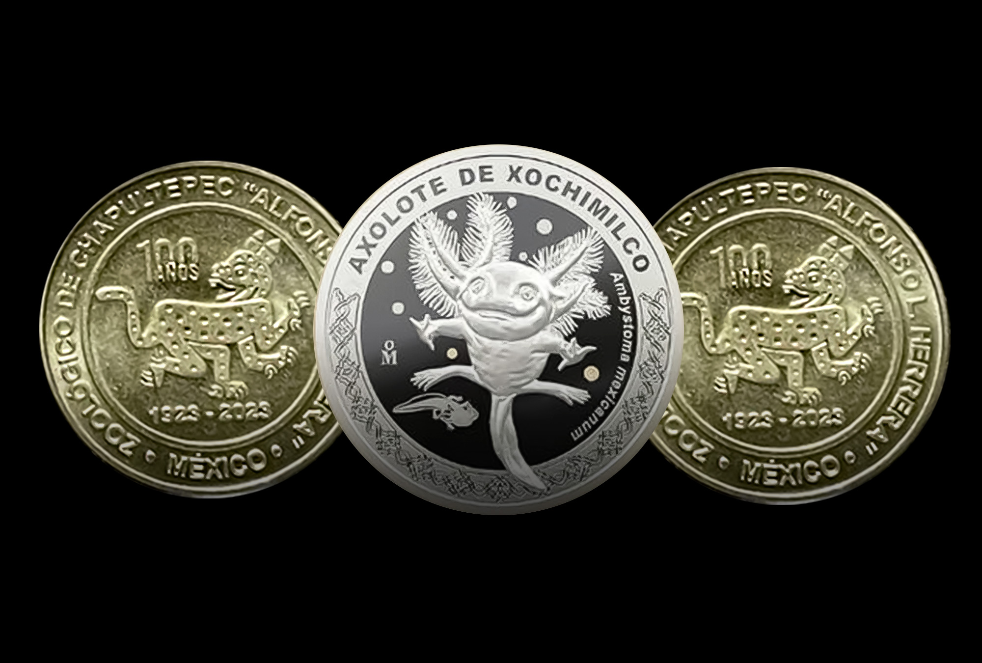 Casa de Moneda lanza medallas por el 100 aniversario del Zoo de ...