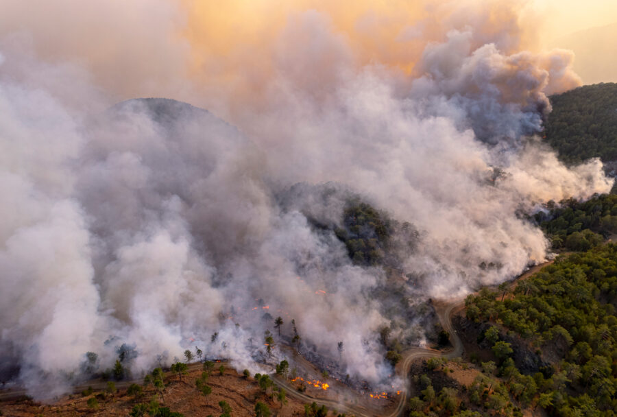 Incendios forestales en México