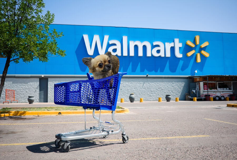 Los perros ya pueden viajar en los carritos de Walmart y acompañarte a ‘hacer la despensa’ Los perros ya pueden viajar en los carritos de Walmart y acompañarte a ‘hacer la despensa’