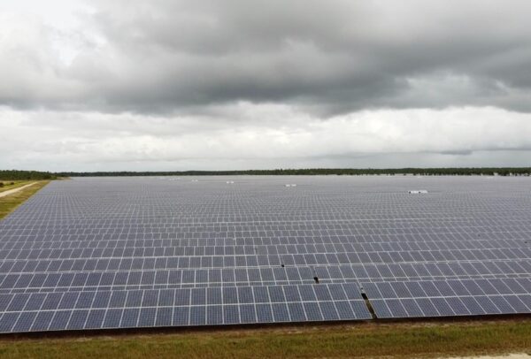 Industria solar en México prevé crecer hasta un 20% en 2024 por temperaturas más altas