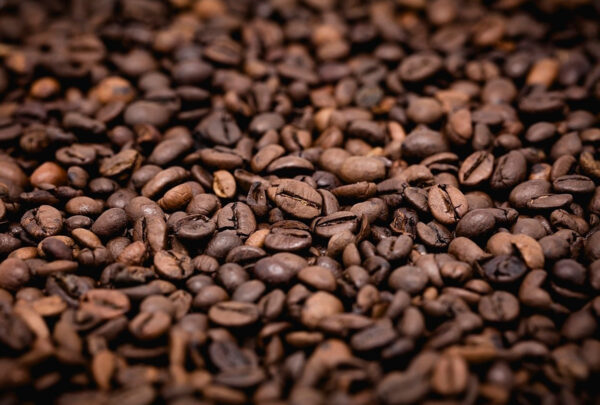 Precios mundiales del café experimentan alza del 3.2% mensual y el 4.2% anual en febrero